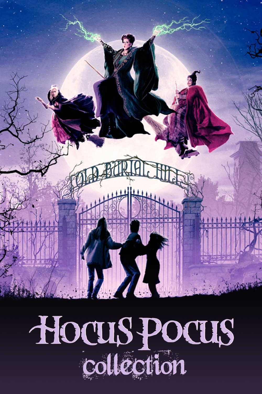 Hocus Pocus Collection [47561] (A1770724734) (Movies) --Plex--